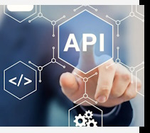 Услуги Разработка IT решений в Новоалтайске